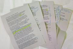 sjezd Strany zelených - Bursík