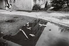 David Kumermann - Kladno