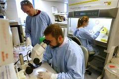 Počet HIV pozitivních ve světě neustále roste. Laboratoře hledají řešení.