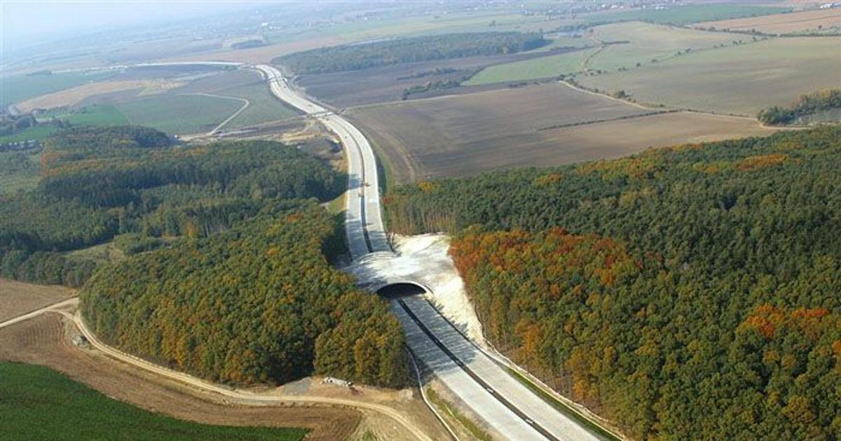 ŘSD zahájilo stavbu posledního úseku dálnice D11 z Jaroměře do Trutnova