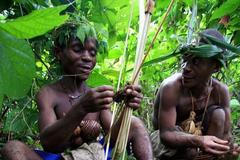 Pygmejec, nebo Hobit?