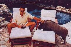 Showbizz: George Clooney a prasátko