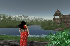 Anshe Chung a jeden z jejích pozemků