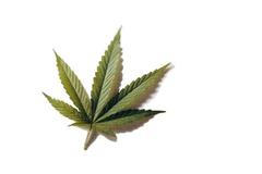 Marihuana