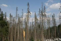 Národní park Šumava