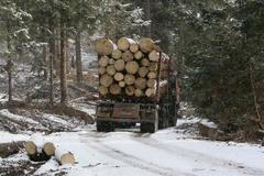 Úklid v Tatrách 11