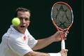stepanek14