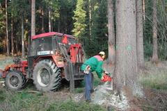 Lesy České Republiky