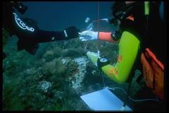 Podmořská archeologie