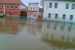 Černovický potok v Soběslavi