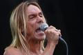 Iggy Pop na festivalu Sziget