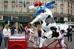 Mléko přímo od pramene