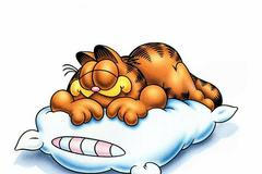 Garfield