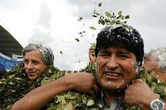 Morales a Garcia v Chapare