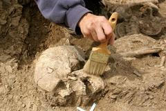 Vykopávky Dolní Břežany