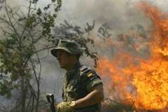 Požáry porostu ve Španělsku již ohrožují města