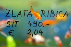 Splňte si tři přání