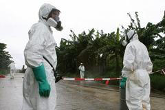 pobřeží slonoviny