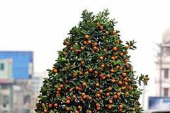 Jde to i bez nákladních aut