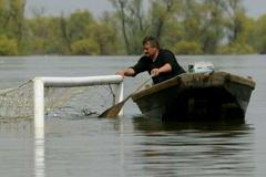 Kapříci připluli, Ivánku