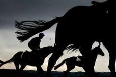 Cheltenham se blíží. Na snímku koně při výběhu v předvečer prvního závodu.