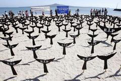 Ploutve místo křížů