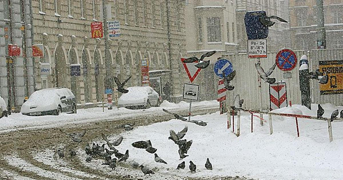 Za škody způsobené pádem sněhu ze střech mohou správci či majitelé, varuje právník