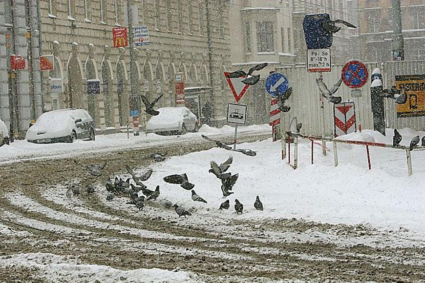 Za škody způsobené pádem sněhu ze střech mohou správci či majitelé, varuje právník