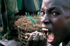 darwinova noční můra