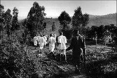 Genocida ve Rwandě - 1994