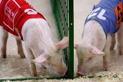 Do Moskvy se vrací olympiáda