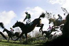 Numbersixvalverde, Niall Madden