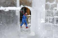 V ledovém království