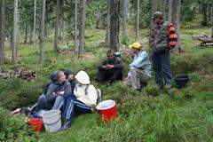 Polští borůvkáři