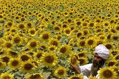 Nelichotivá přirovnání