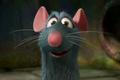Ratatouille