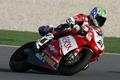 Troy Bayliss, Ducati