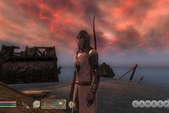 The Elder Scrolls: Oblivion - Knights of the Nine