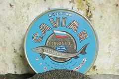 Kaviár Beluga