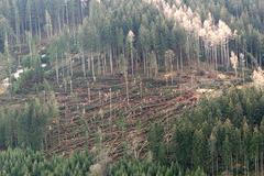 Plošný polom u Nýrska