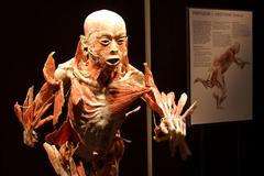 Výstava Bodies v pražské Lucerně