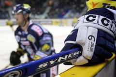 Bílí tygři Liberec