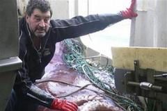 Nový Zéland chobotnice 2