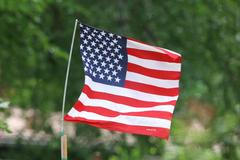 Vlajka Spojených států amerických