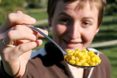 Kukuřice sterilovaná