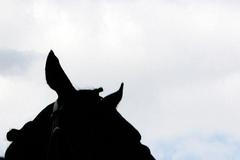 Royal Ascot, Manduro