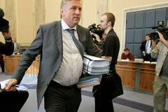 Rok Topolánkovy vlády