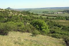 Stavba vepřína v Solanech