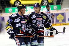 Bílí tygři Liberec: hráči