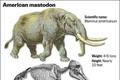 Americký prehistorický mamut - mastodon